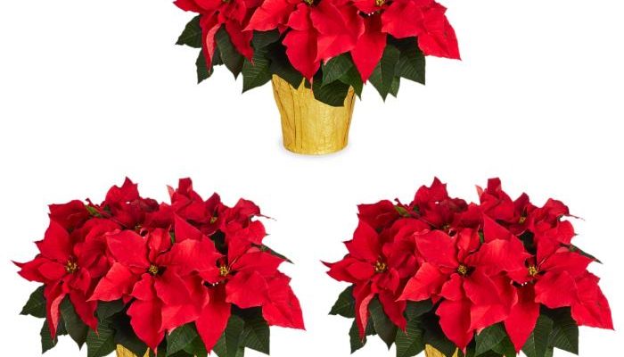 Outdoor Christmas Decor Lowes Festive Finds