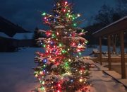 Outdoor Christmas Decor Trees A Festive Guide