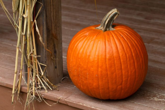 Outdoor fall pumpkin decor